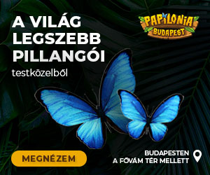 Papilonia Lepkevilág